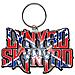 Lynyrd Skynyrd - Flag Logo (portachiavi Metallo)  - Foto miniatura 1
