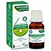 Olio Essenziale Eucalyptus Radiata 10ml - Foto miniatura 1