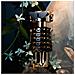 Fame Parfum 30ml - Foto miniatura 3