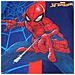 Completo Spiderman spi24-1356 pol s2-4a Ragazzo - Foto miniatura 4