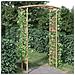 Arco Da Giardino Per Rose In Bamb 118x40x187 Cm - Foto miniatura 1