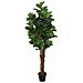 Albero Ficus Lyrata 96 Foglie 80 Cm Verde - Foto miniatura 2