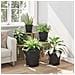 Vassoio Rotondo per Fiori 6 pcs Nero Ø 14 x 2 cm Plastica - Foto miniatura 4