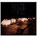Audio Cd How To Dress Well - Love Remains - Foto miniatura 1