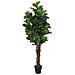 Albero Ficus Lyrata 180 Foglie 150 Cm Verde - Foto miniatura 2