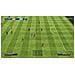 PSVITA - Fifa 13 - Foto miniatura 6