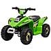 Quad Per Bambini Elettrico Con Batteria Ricaricabile 6v - Verde - Foto miniatura 1