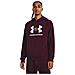 Rival Fleece Hoodie 1379758-600, Uomini, Viola, L - Foto miniatura 1
