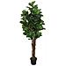 Albero Ficus Lyrata 232 Foglie 180 cm Verde - Foto miniatura 2