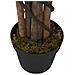 Albero Ficus Lyrata 232 Foglie 180 cm Verde - Foto miniatura 7