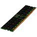 Memoria RDIMM P64705-B21 16 GB (1x16 GB) DDR5 5600 MHz Colore Verde - Foto miniatura 1