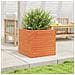 Fioriera Giardino Marrone Cera 50x50x46 Cm Legno Massello Pino - Foto miniatura 3
