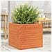 Fioriera Giardino Marrone Cera 50x50x46 Cm Legno Massello Pino - Foto miniatura 1