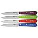 Coltelli da cucina Paring Knife Four Piece 4 pezzi purple - Foto miniatura 1