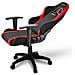 Skiller Sgs2 Jr Sedia Per Gaming Per Bambini Universale Seduta Imbottita Colore Nero Rosso - Foto miniatura 5