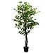 Albero Di Ficus Artificiale 378 Foglie 80 Cm Verde - Foto miniatura 1