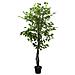 Albero Di Ficus Artificiale 378 Foglie 80 Cm Verde - Foto miniatura 2