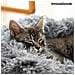 Letto Antistress Per Animali Domestici Bepess Innovagoods Ø 40 Cm - Foto miniatura 7