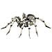 Figura Di Tarantula Multicolor - Foto miniatura 1
