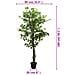 Albero Di Ficus Artificiale 1008 Foglie 180 Cm Verde - Foto miniatura 8