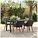 Set da Pranzo da Giardino in Polyrattan Nero - Foto miniatura 2