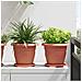 Vassoio Rotondo per Fiori 6 pcs Rosso Mattone Ø 17,5 x 2 cm - Foto miniatura 2