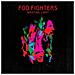 Foo Fighters - Wasting Light - Foto miniatura 1