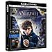 Animali Fantastici E Dove Trovarli (Blu-Ray 4K Ultra HD)  - Foto miniatura 3