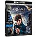 Animali Fantastici E Dove Trovarli (Blu-Ray 4K Ultra HD)  - Foto miniatura 2