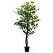 Albero Di Ficus Artificiale 1260 Foglie 200 Cm Verde - Foto miniatura 2
