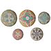 Set Di 5 Decorazioni Murali Alga Marina Multicolore Sonla - Foto miniatura 6