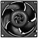 S8038-7K Processore Ventilatore 8 cm Nero 1 pz - Foto miniatura 2