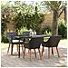Set da Pranzo da Giardino in Rattan Nero a 5 Pezzi - Foto miniatura 2