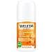 24H Deo Roll-On Olivello Spinoso 50 ml - Foto miniatura 1