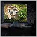 Mps90 / 43 Schermo Di Proiezione 90” Formato 4:3 / 183 X 137 Cm Telo Proiettore Telo Da Proiezione A Sviluppo Manuale - Fissaggio A Muro O A Soffitto - Full Hd 3d 4k - Home Cinema Home Theater Ufficio - Foto miniatura 6