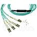SFP5141EU10MKB cavo InfiniBand e in fibra ottica 10 m MPO 4x LC Colore acqua - Foto miniatura 7