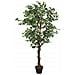 Albero Di Ficus Artificiale 378 Foglie 80 Cm Verde - Foto miniatura 1