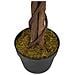 Albero Di Ficus Artificiale 378 Foglie 80 Cm Verde - Foto miniatura 7