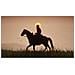 Red Dead Redemption 2, Xbox One Standard - Foto miniatura 7