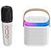 Cassa Diffusore Portatile Cassa Bluetooth Mp3 Karaoke Sd Aux Microfono Wireless - Foto miniatura 1