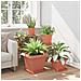 Vaso quadrato per fiori 24 pcs Rosso Mattone 38 x 38 x 30 cm - Foto miniatura 4