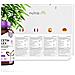 La Quercetina Complesso Con Vitamina C - 120 Vegan Capsule (2 Mesi) Miscelato Con Rosa Canina Bioflavonoidi Bromelina Acerola E Rutina - Made In Uk Da - Foto miniatura 3