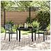 Set da Pranzo per Giardino 3 pcs Antracite Acciaio - Foto miniatura 4