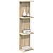 Scaffale da parete 2 pz Rovere Sonoma 22 x 15 x 100 cm - Foto miniatura 3