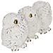 Three Wise Owls 8cm - Foto miniatura 4