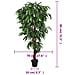 Albero Mango Artificiale 300 Foglie 80 Cm Verde - Foto miniatura 8