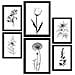 Set Di 6 Stampe Stampe Di Piccoli Fiori, Natura E Botanica Con Motivi Floreali In Un Classico Design D'interni In Bianco E Nero A3 & A4 Senza Cornice - Foto miniatura 1