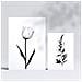 Set Di 6 Stampe Stampe Di Piccoli Fiori, Natura E Botanica Con Motivi Floreali In Un Classico Design D'interni In Bianco E Nero A3 & A4 Senza Cornice - Foto miniatura 2