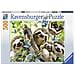 RVB14790 Selfie Tra Bradipi - Puzzle 500 pz - Foto miniatura 1