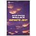 David Foster Wallace - Infinite jest - Foto miniatura 1